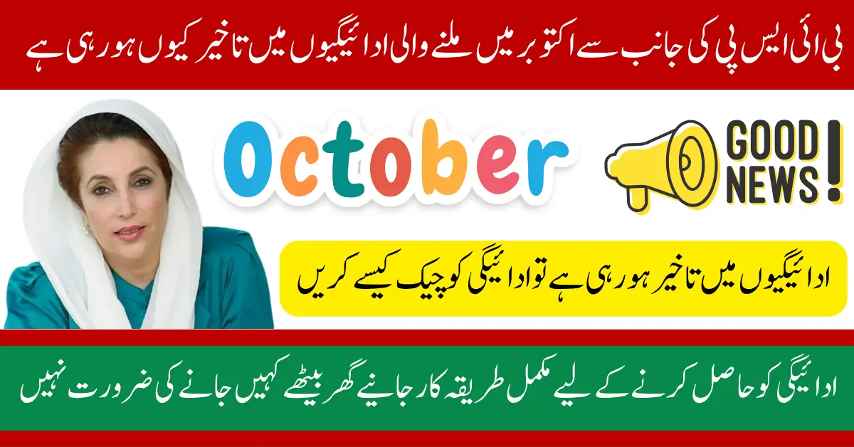BISP Payment Delay October 2025 Know Reason and Easy Solution Complete Guide