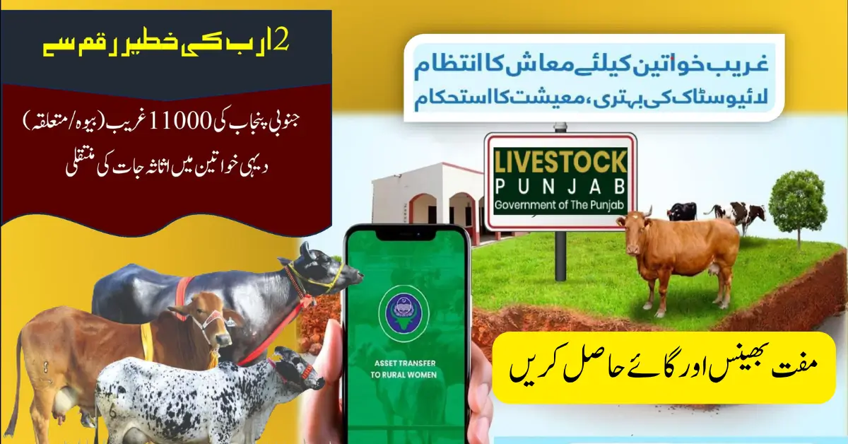 Free Cow and Buffalo by Maryam Nawaz Distribution for Rural Women October 2025 Full Guide