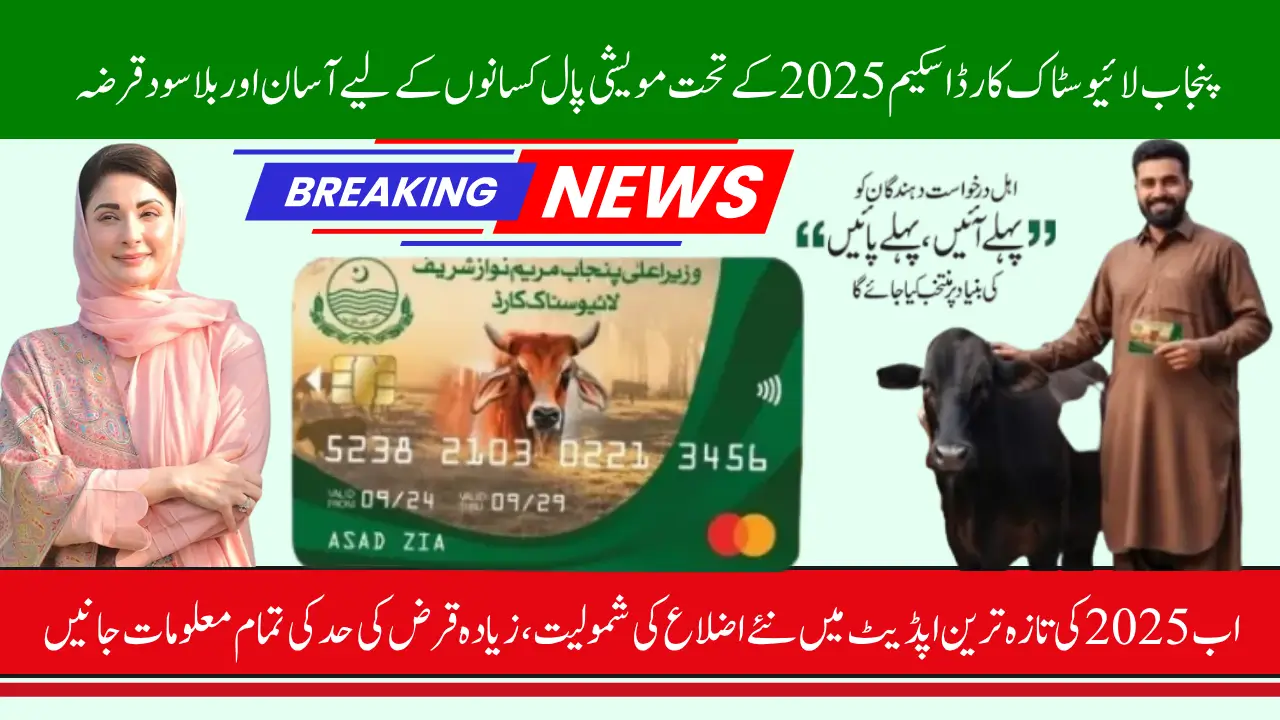Punjab Livestock Card Scheme Latest Update 2025 Easy Loan for Cattle Owners