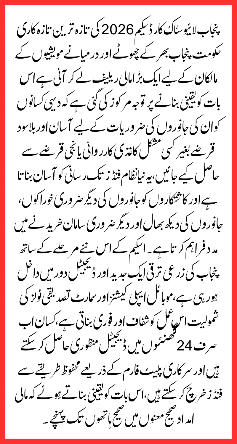 Punjab Livestock Card Scheme Latest Update 2026 Easy Loan For Cattle Owners