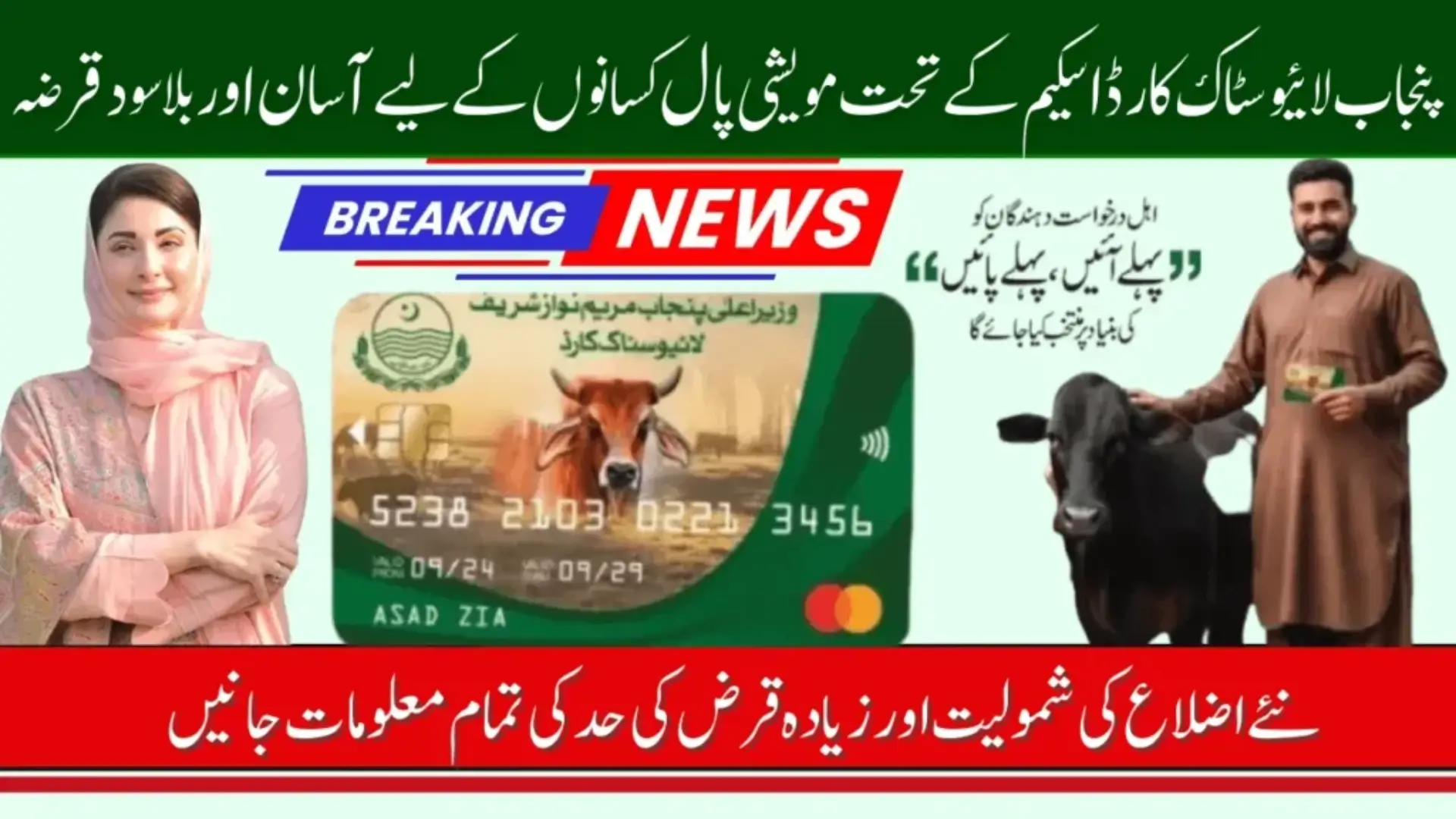 Punjab Livestock Card Scheme Latest Update 2026 Easy Loan For Cattle Owners