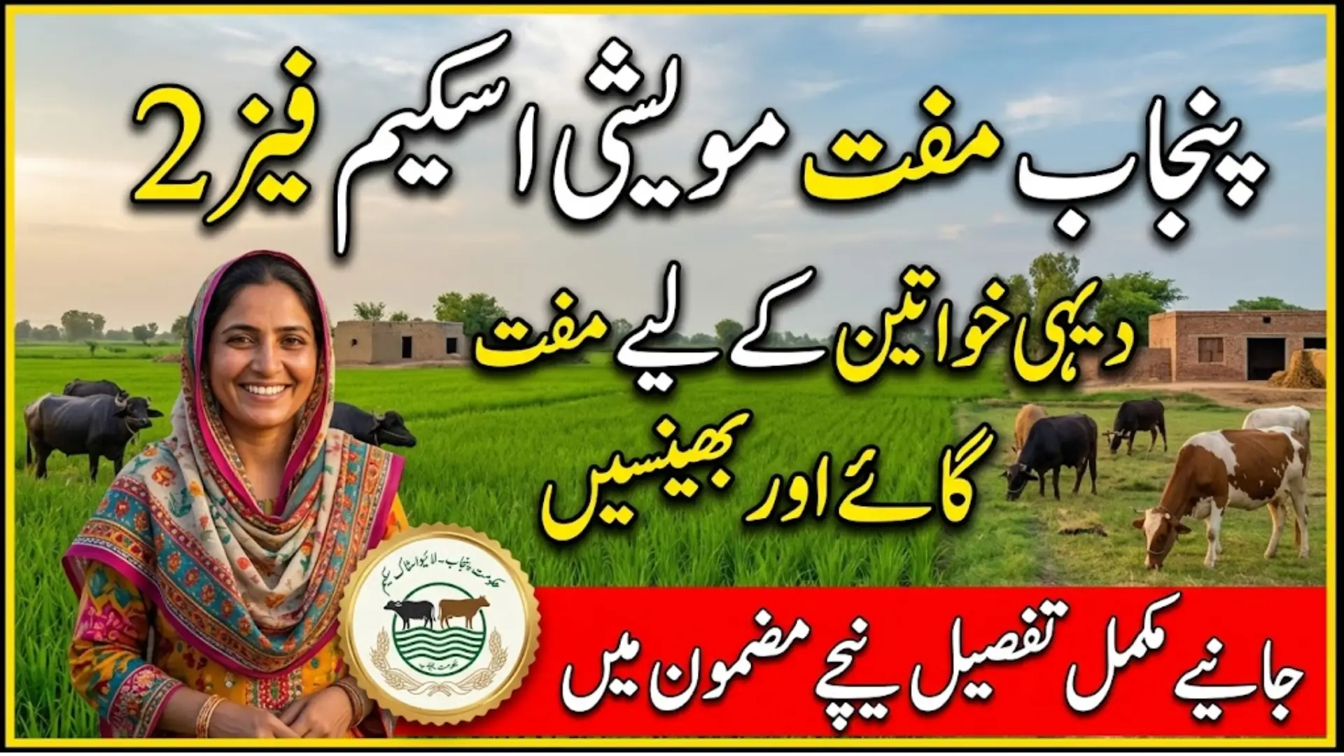 Punjab Free Livestock For Rural Women Phase 2 Approved: What We Know So Far